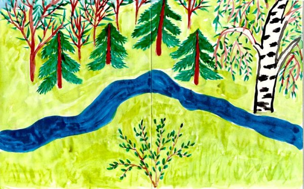 Рисунок тайги легкий