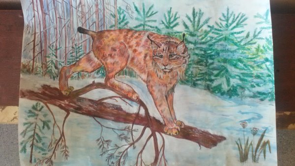 Картина хвойного леса для детей