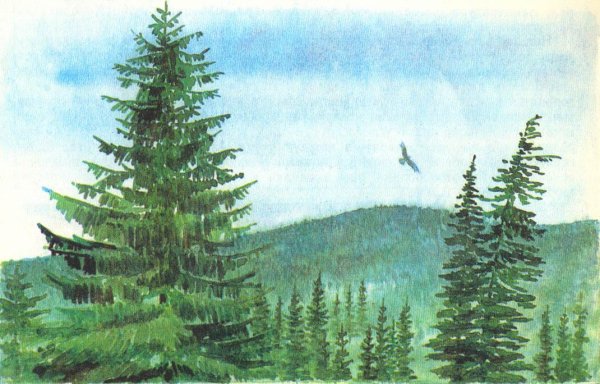 Тайга для детей