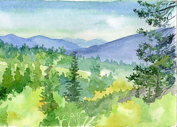 Тайга детские рисунки