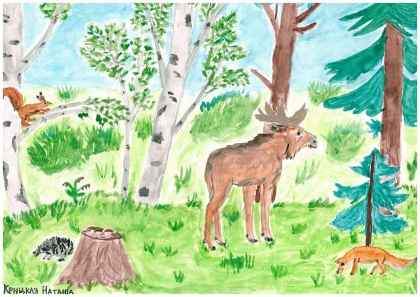 Лес глазами детей