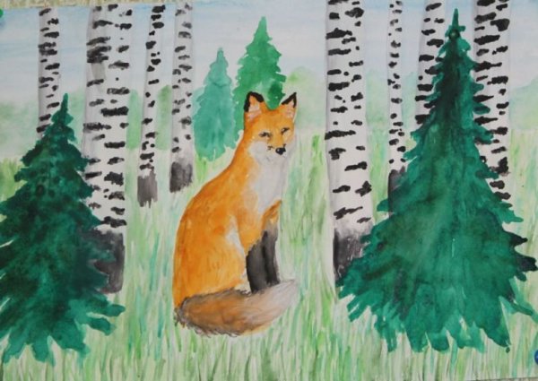 Тайга рисунок