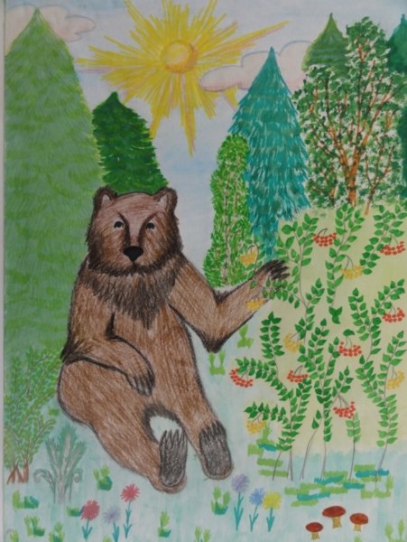 Тайга рисунок