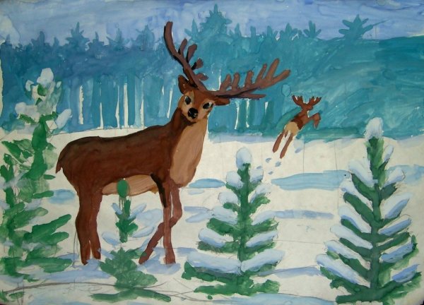 Лес рисунок на прозрачном фоне