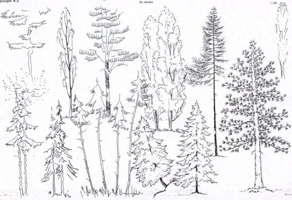 Природа Башкирии рисунки