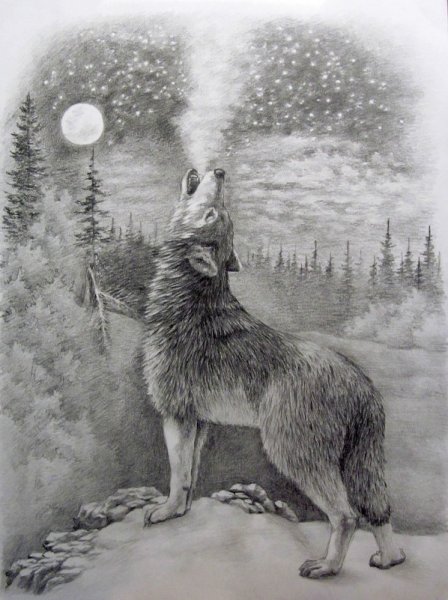 Куприн серебряный волк иллюстрации