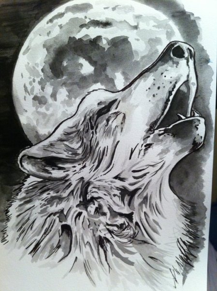 Волк воет на луну эскиз