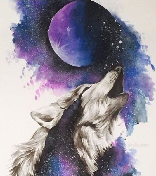 Волк воет на луну арт