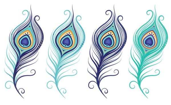 Узор перо павлина