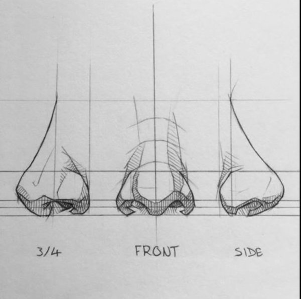 Референс носа Академический