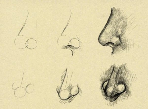 Поэтапные уроки рисования носа