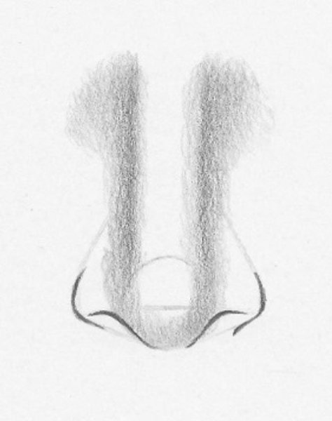Нос рисовать карандашом