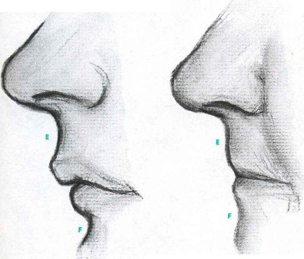 Губы в профиль карандашом