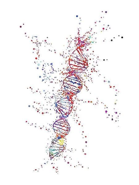 ДНК набросок