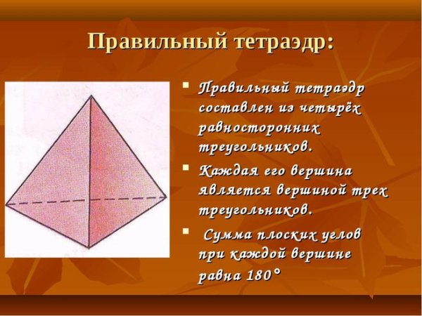 Правильны йтейтрайдер