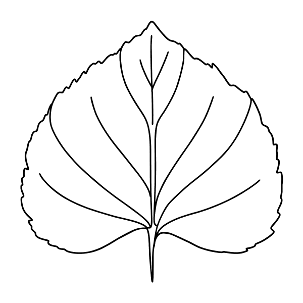 Нарисовать лист липы