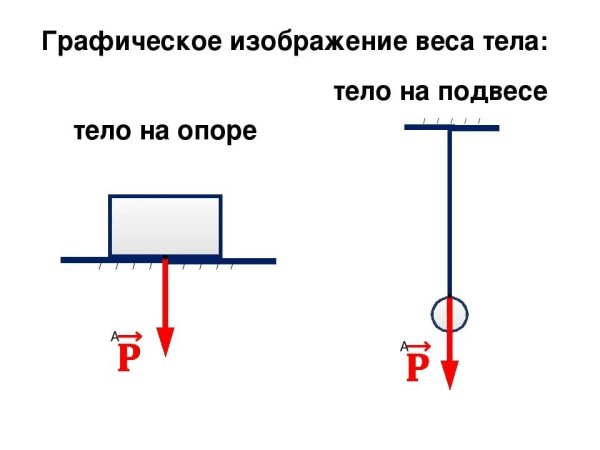 Чертеж веса тела физика