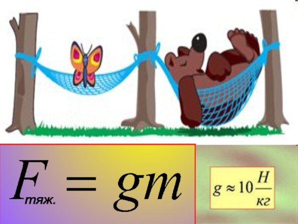 Связь между силой тяжести и массой тела в физике