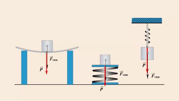 Вес тела схема