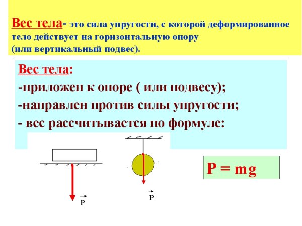 Масса и вес тела физика 7 класс