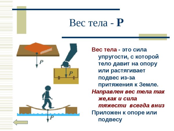 Формула силы тяжести 7 класс физика вес тела