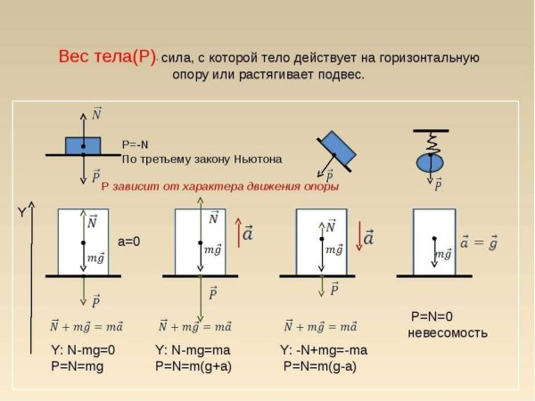 Модуль веса тела формула