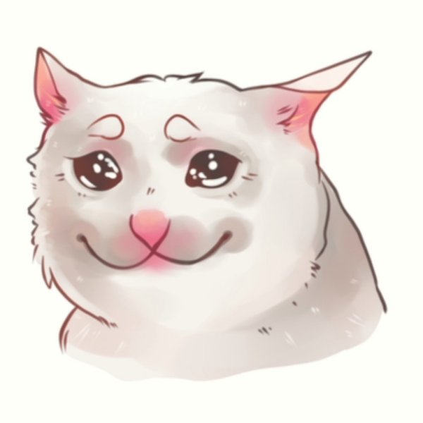 Котик плачет без фона