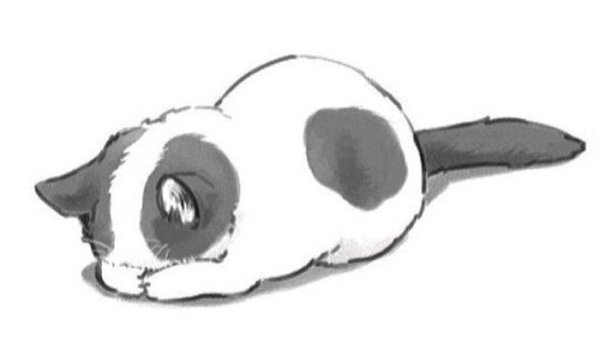 Котенок плачет