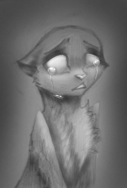 Кот плачет Мем