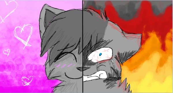 Миска для кота