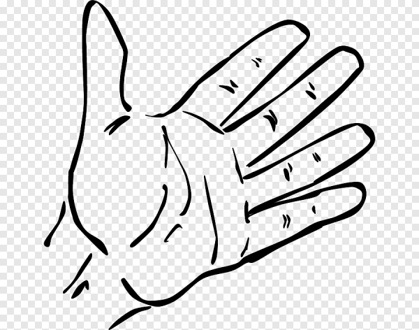 Кисть руки контур