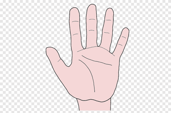 Ладонь рисунок