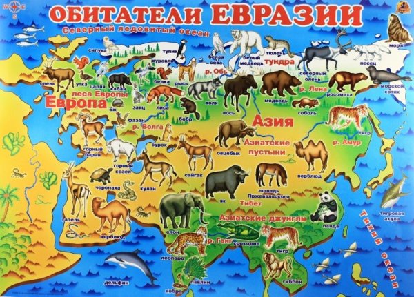 Животный и растительный мир Евразии на карте