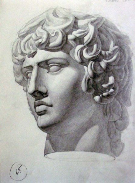 Антиной гипсовая голова