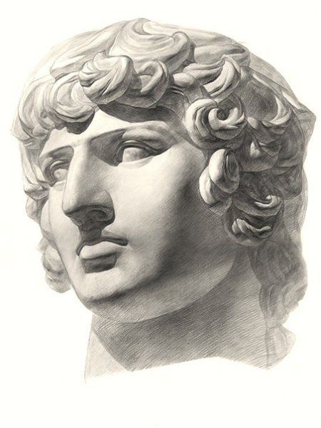 Рисунок головы Антиноя в МАРХИ