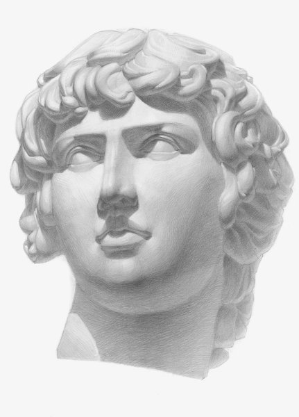 Антиной гипсовая голова построение