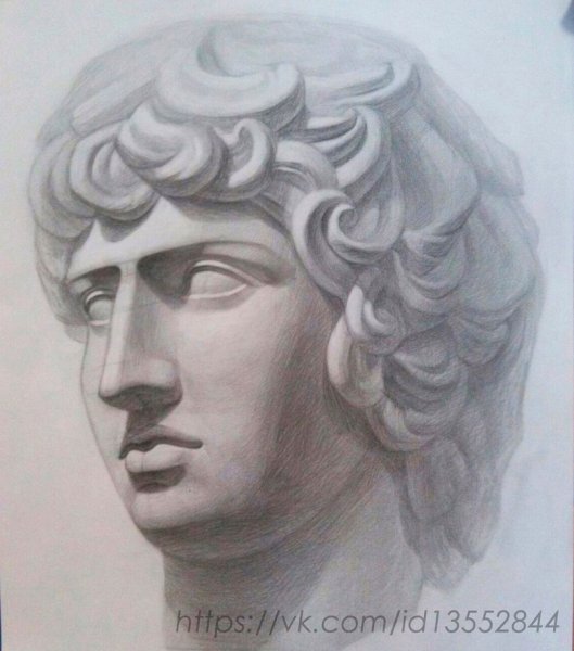 Антиной МАРХИ