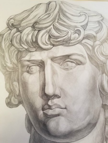 Гипсовая голова Антиноя МАРХИ