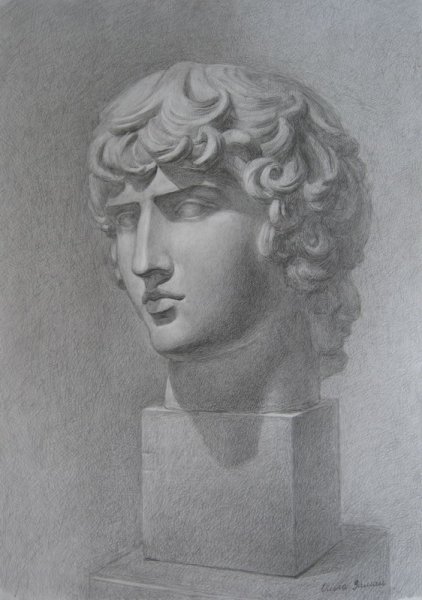 Антиной Академический рисунок