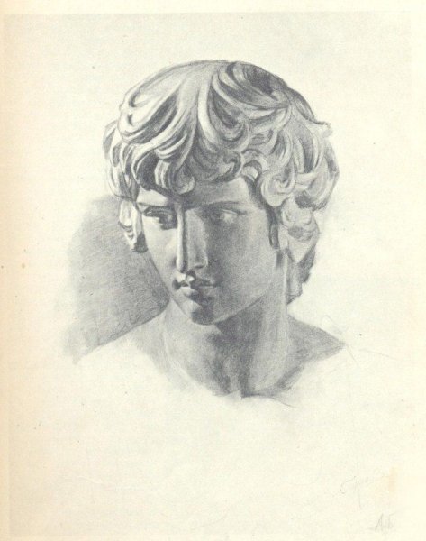 Антиной Академический рисунок МАРХИ