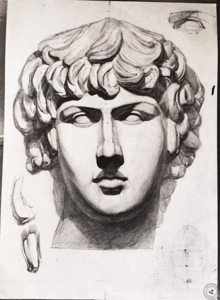 Антиной гипсовая голова МАРХИ