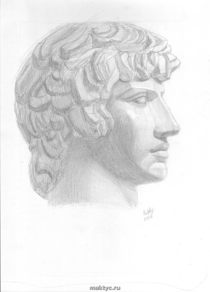 Голова Антиноя МАРХИ