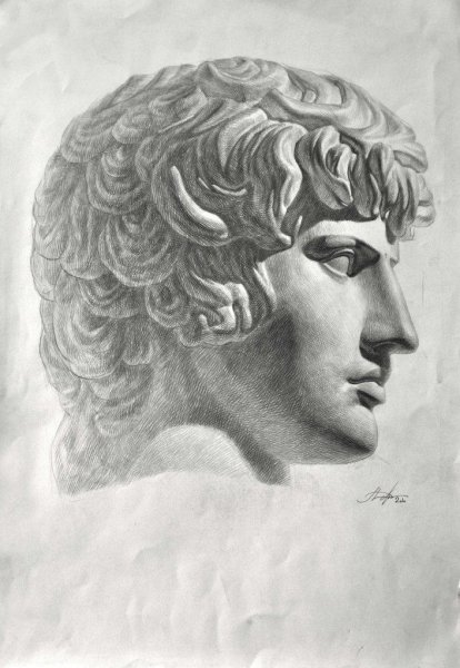 Антиной МАРХИ