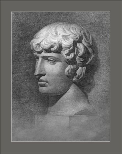 Антиной гризайль