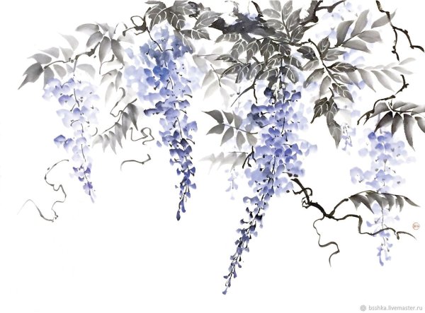 Глициния в японской живописи