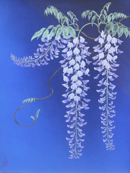 Глициния арт Китай