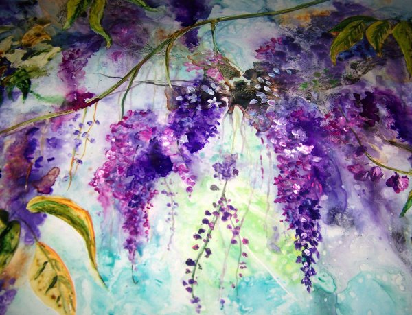 Глициния арты