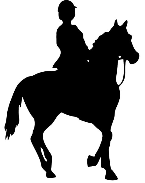 Всадник на коне силуэт