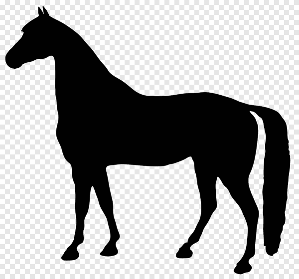 Векторное изображение коня