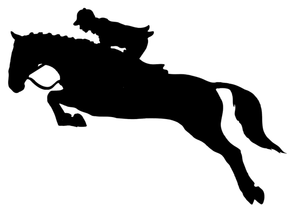 Силуэт лошади на прозрачном фоне